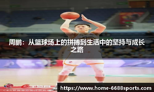 6688体育官网